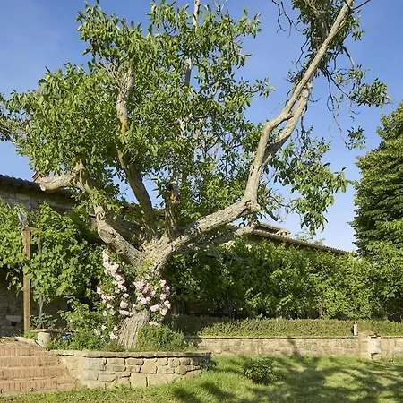 La Sentinella Casolare Storico E Piscina Villa