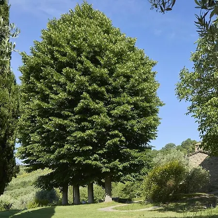 Villa La Sentinella Casolare Storico E Piscina