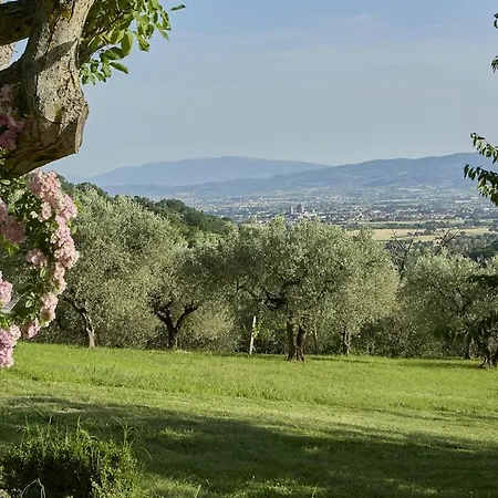 La Sentinella Casolare Storico E Piscina Assisi